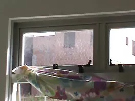 Младата латинка поема огромен черен хуй секс видео безплатно