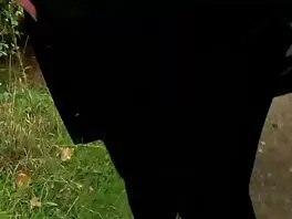 Autumn Falls и Bunny Colby прецакани от порно секс онлайн безплатно възбуден жребец